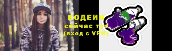 твердый Медногорск