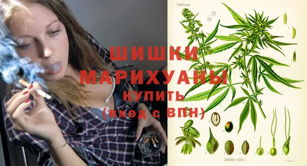 Альфа ПВП Мегион