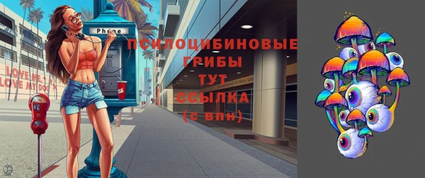 твердый Медногорск